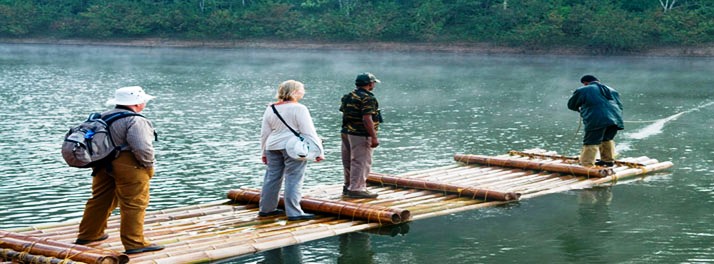 1022/The Elephant Court - Thekkady 21.jpg